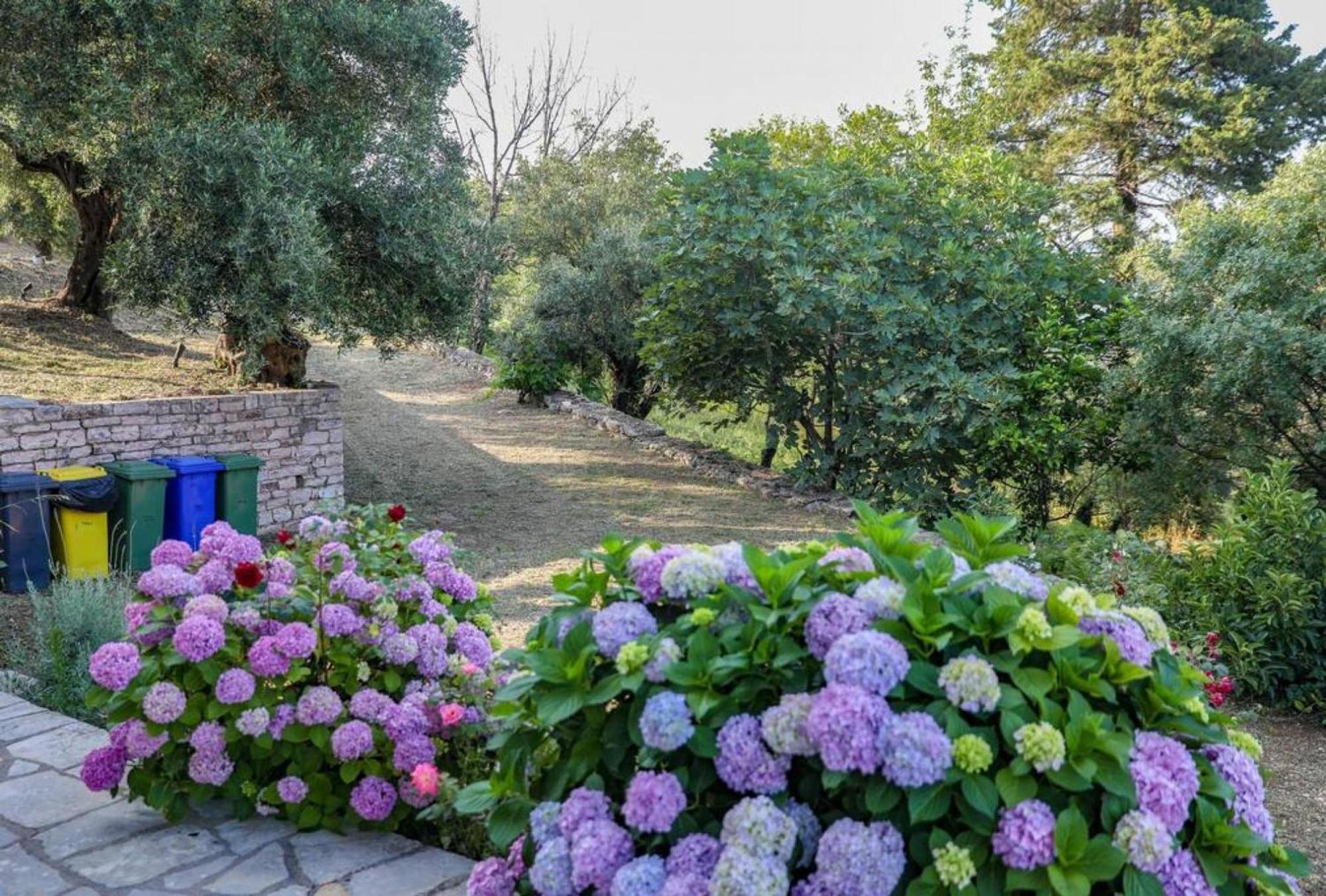 Sinies Stone - Ne Corfu Agnitsini