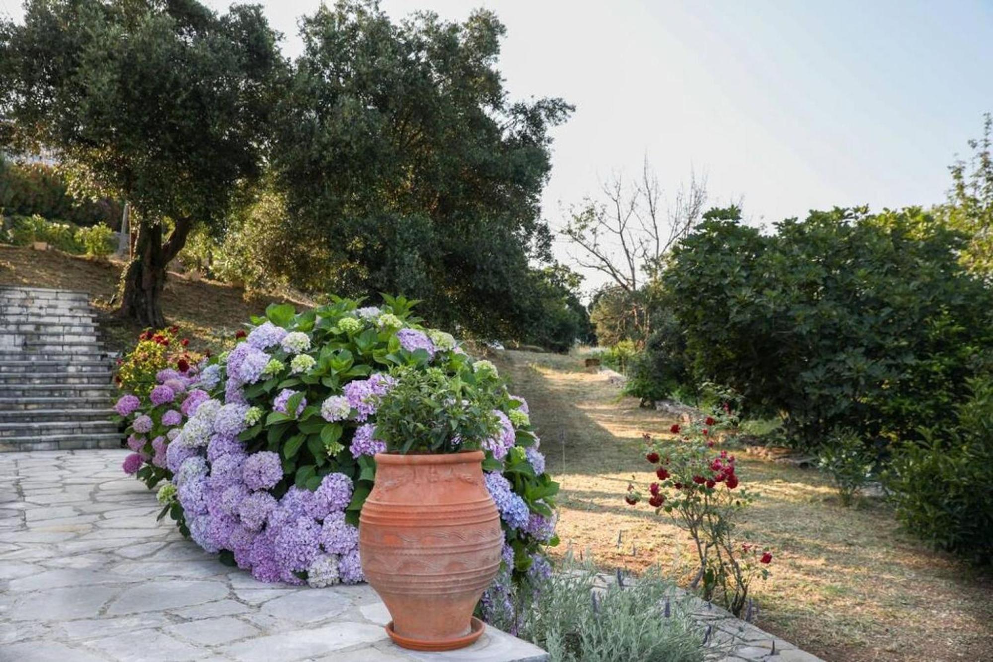 Sinies Stone - Ne Corfu *